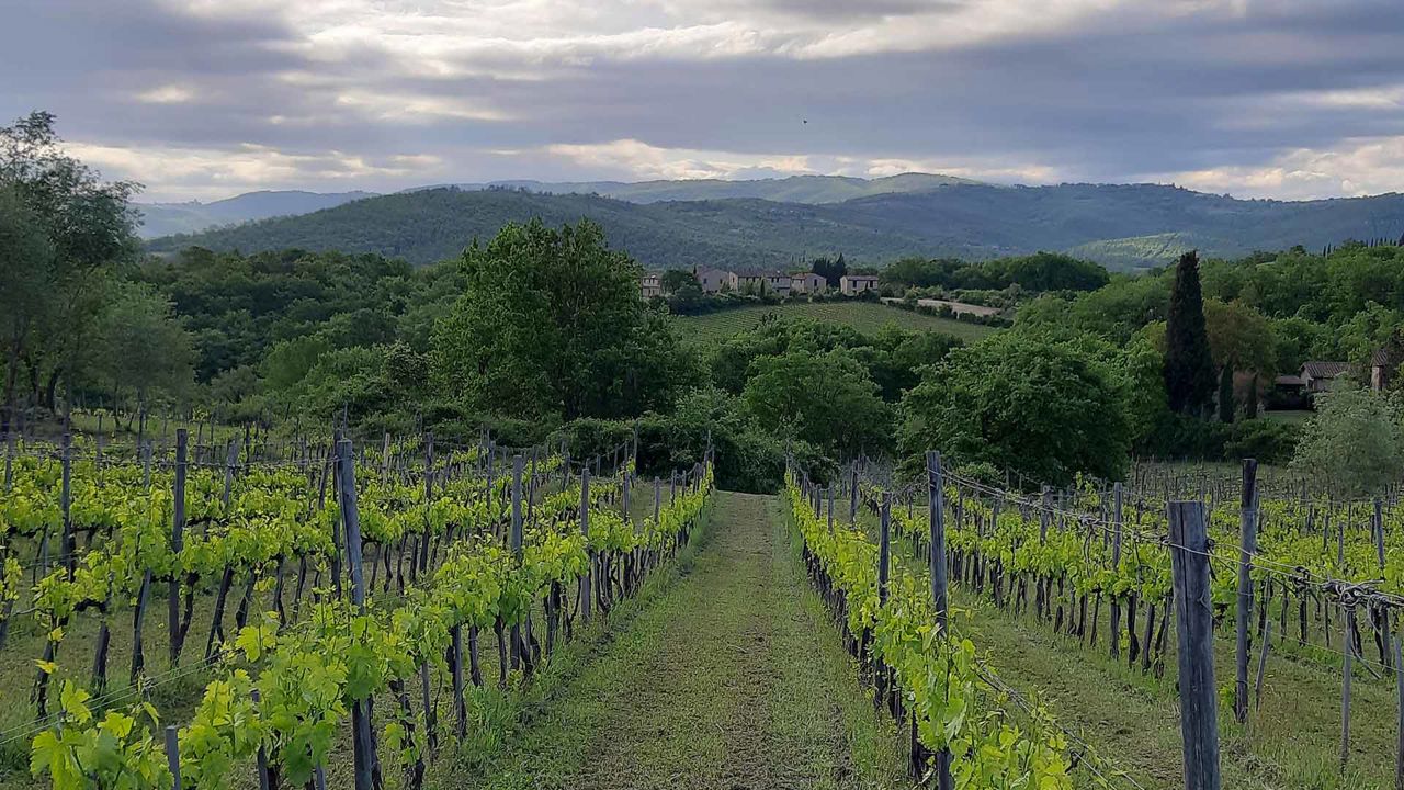 Villa Cennina — foto 4