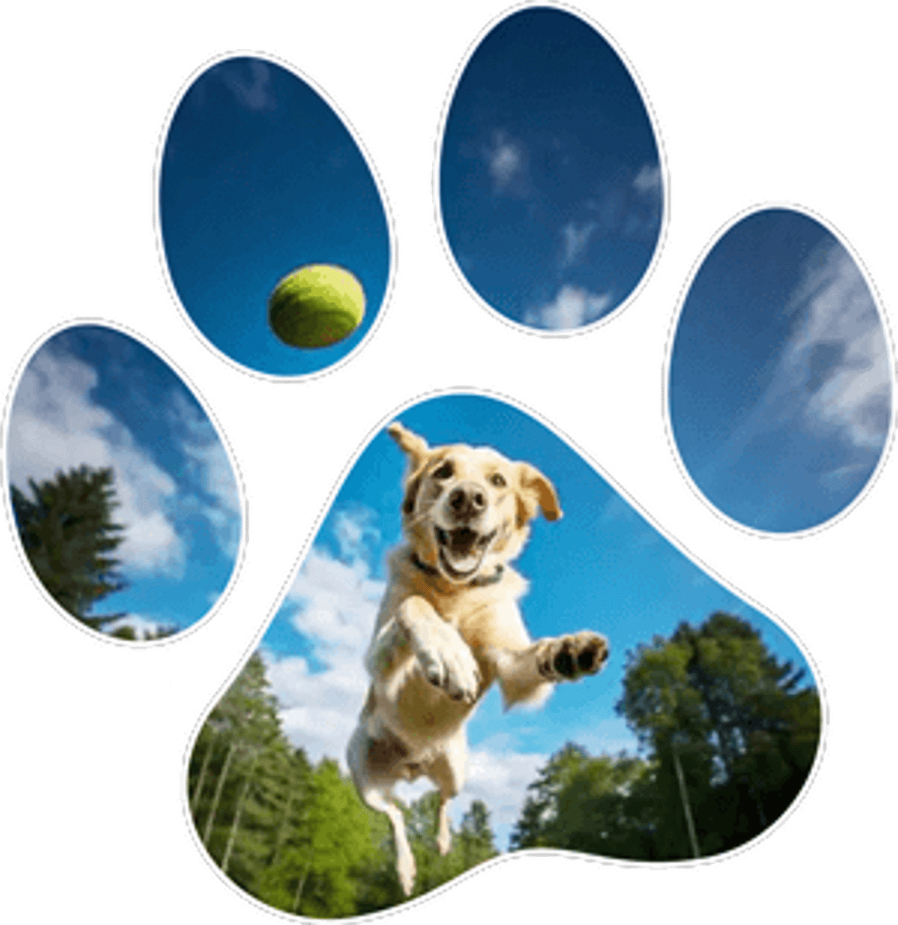 Superior with Pool View and Patio 3 Superior with Pool View and Patio 3