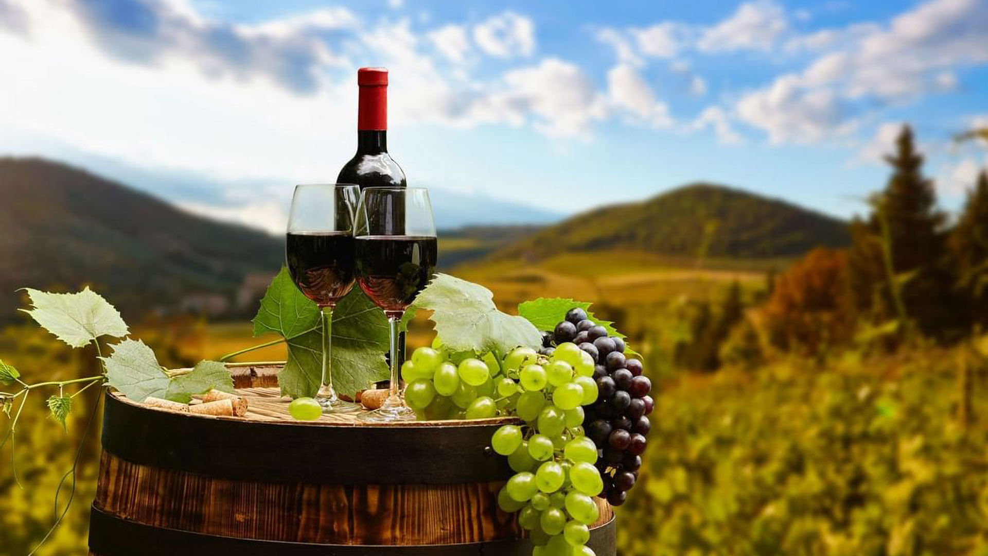 Food and Wine | Golf Hotel Punta Ala 3