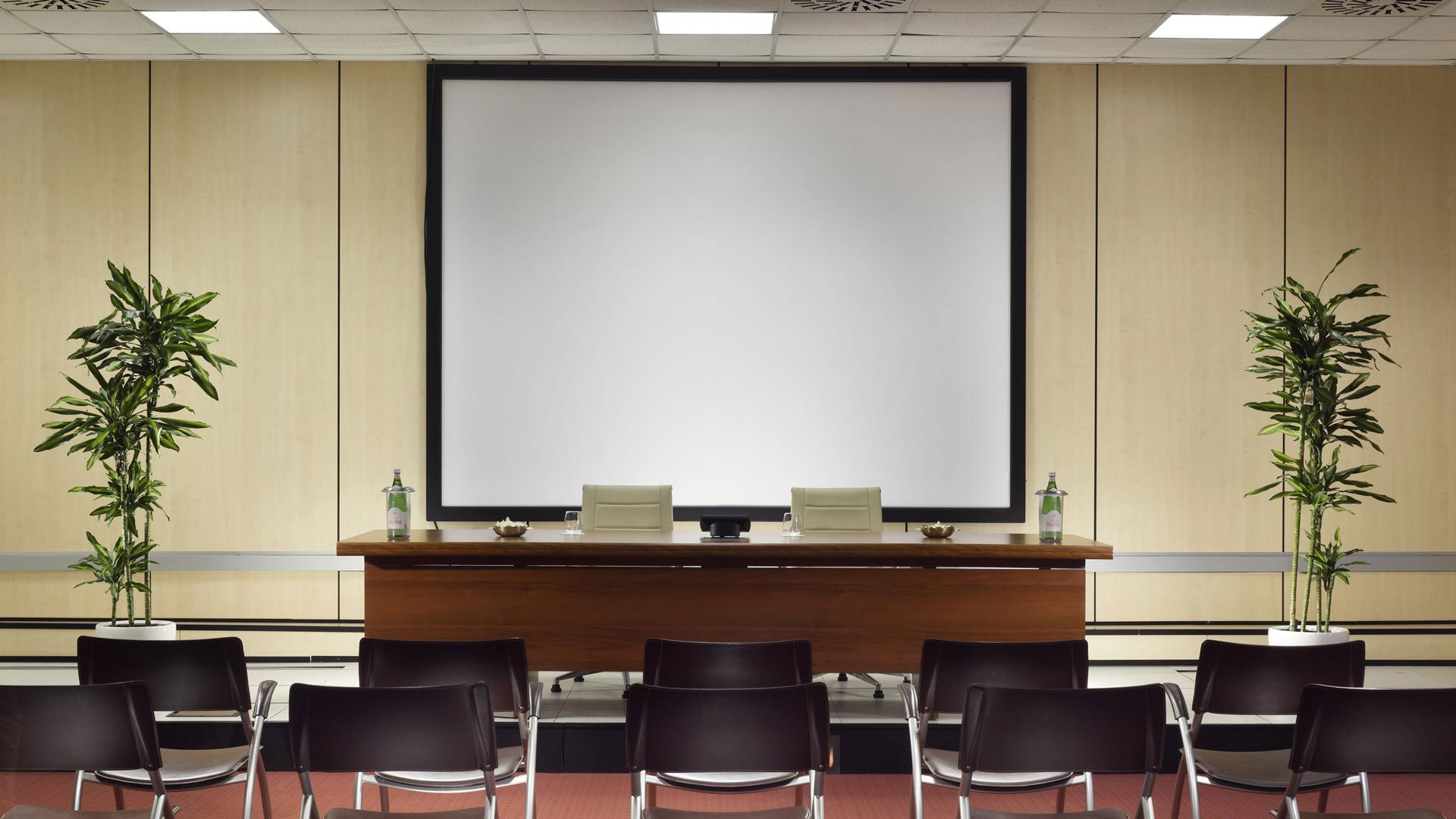 Meeting 3