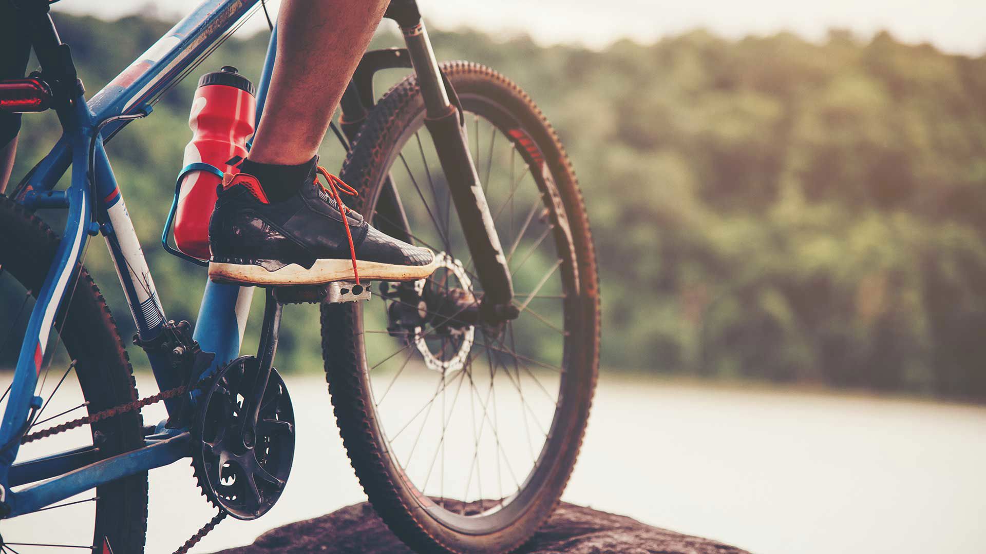 Bicycle paths 3