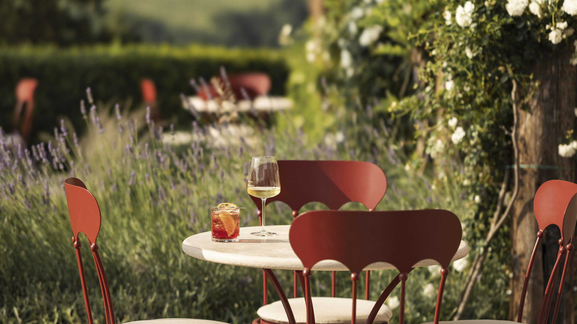 Lezione di Cocktail 6