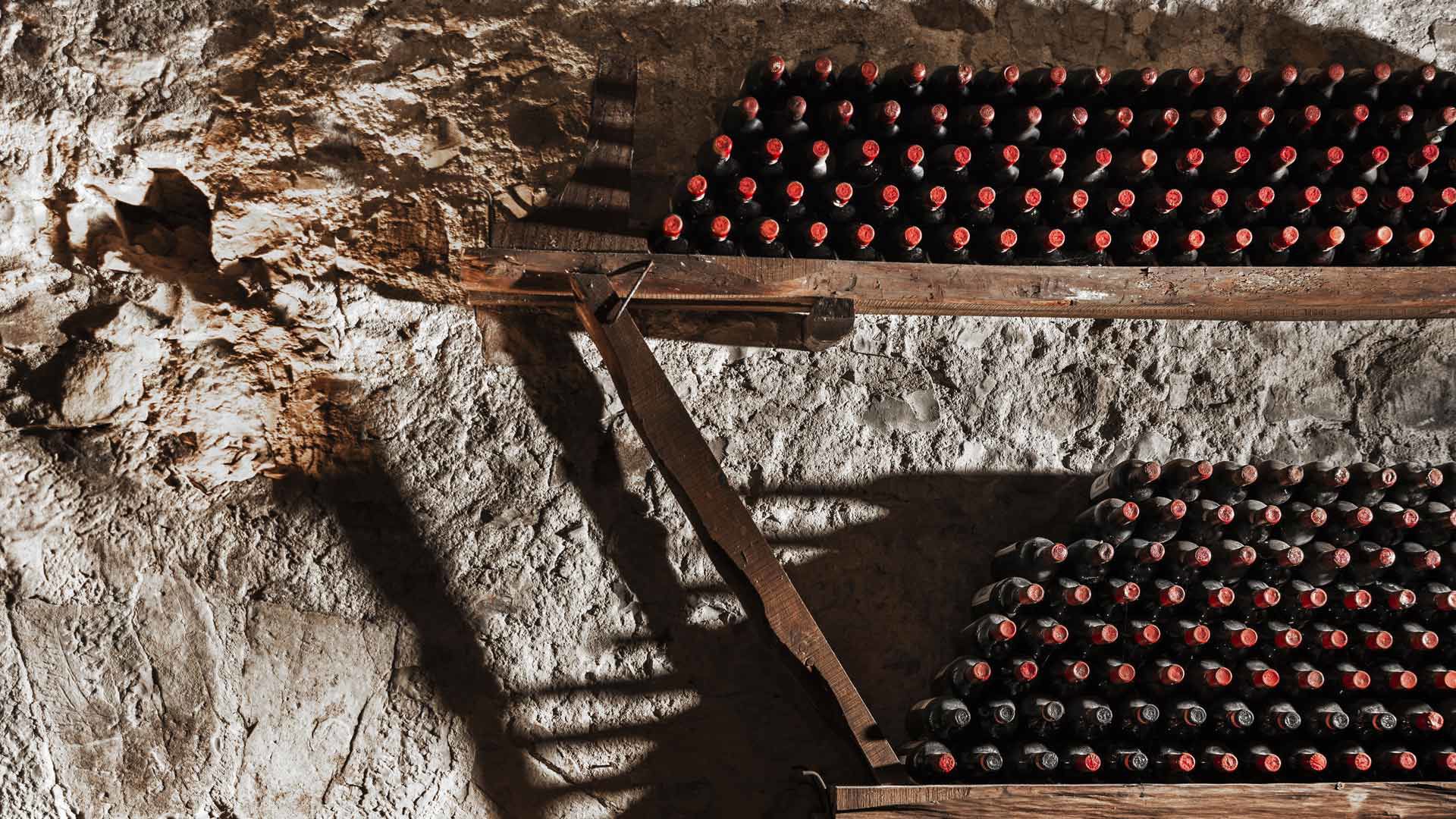 Vini & Degustazioni 7