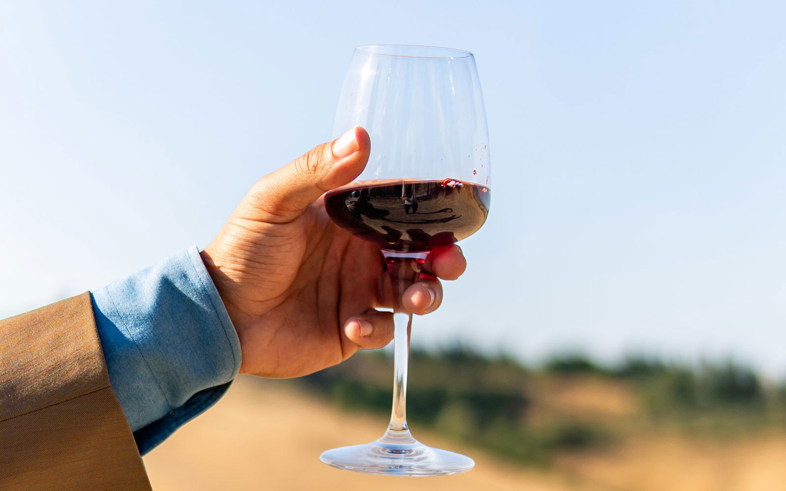 Vini & Degustazioni 8