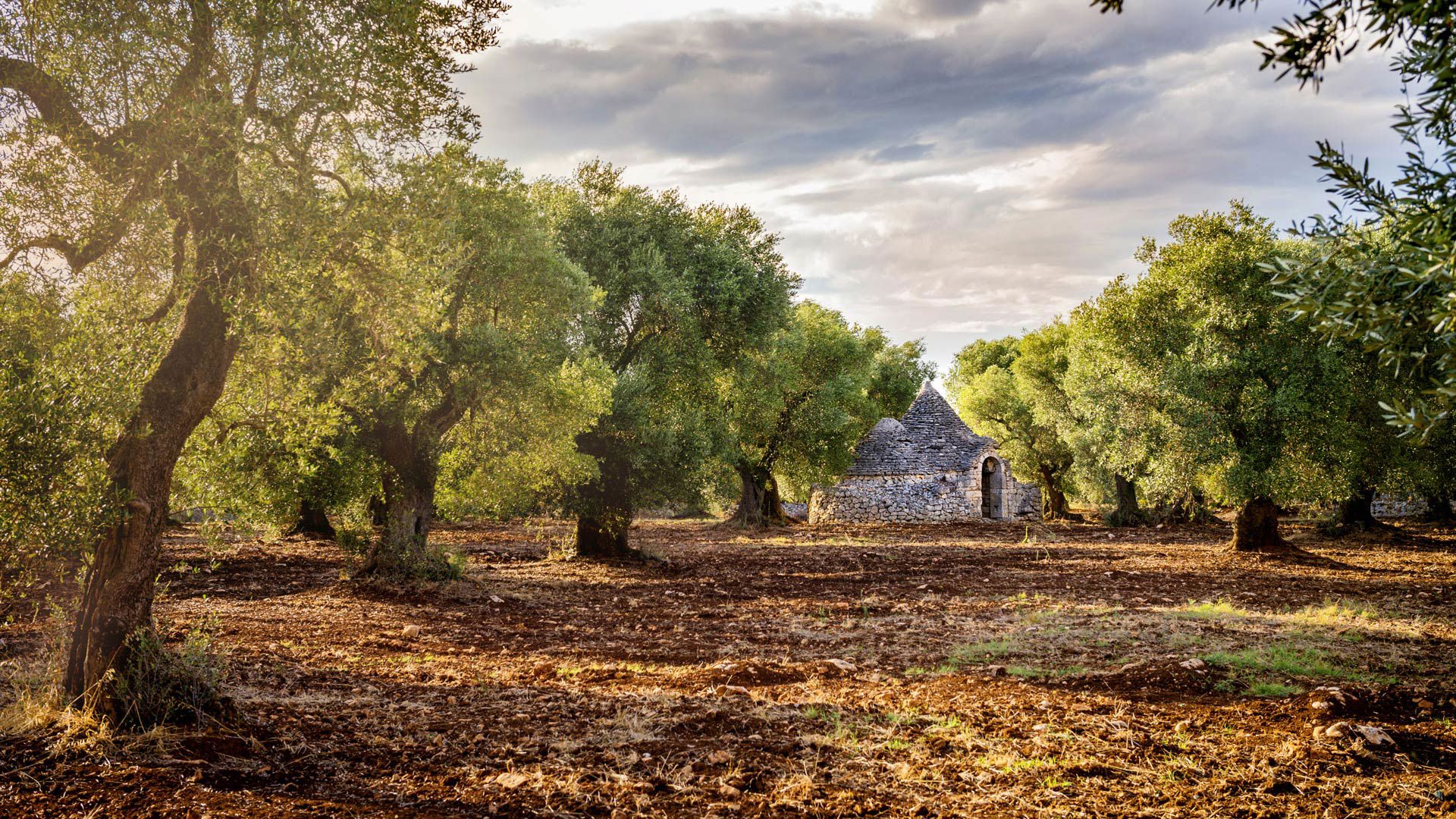 Planifiez votre excursion 7