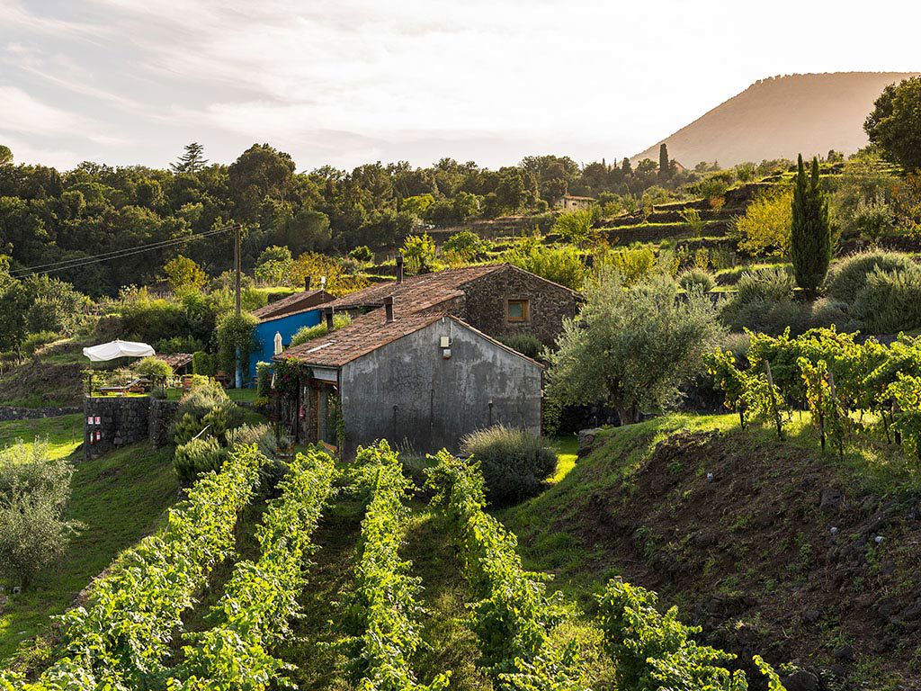 MONACI DELLE TERRE NERE 21 MONACI DELLE TERRE NERE 21