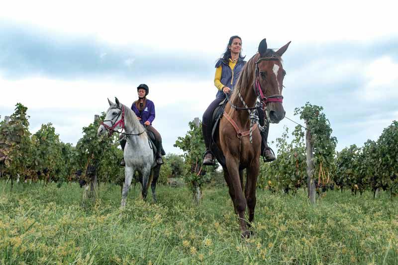 Escursioni a cavallo 11 Escursioni a cavallo 11