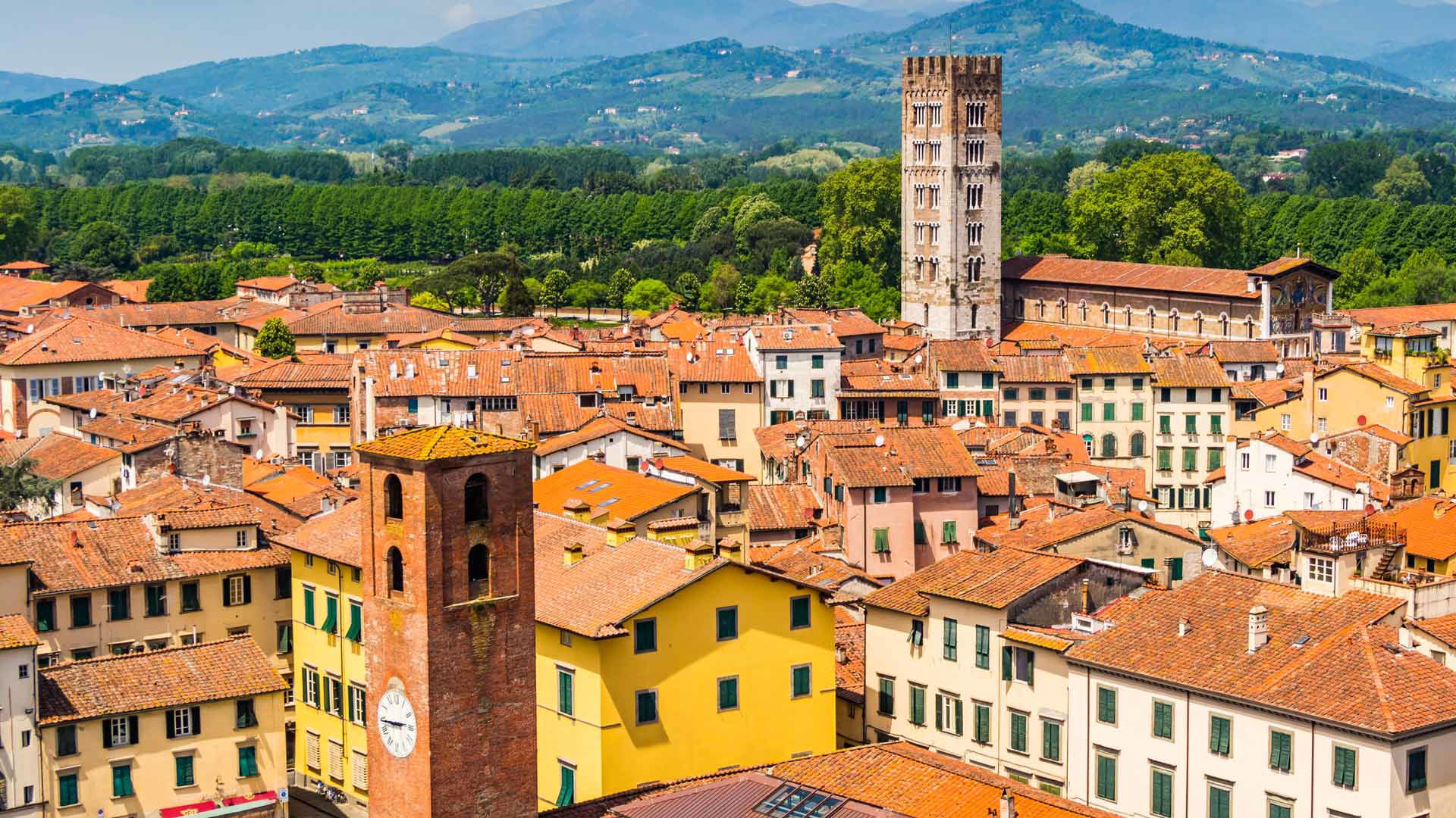 Dintorni 1