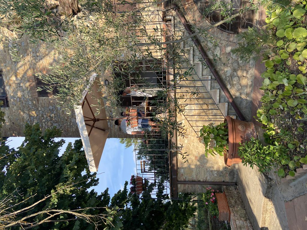 Cipriano 56 3