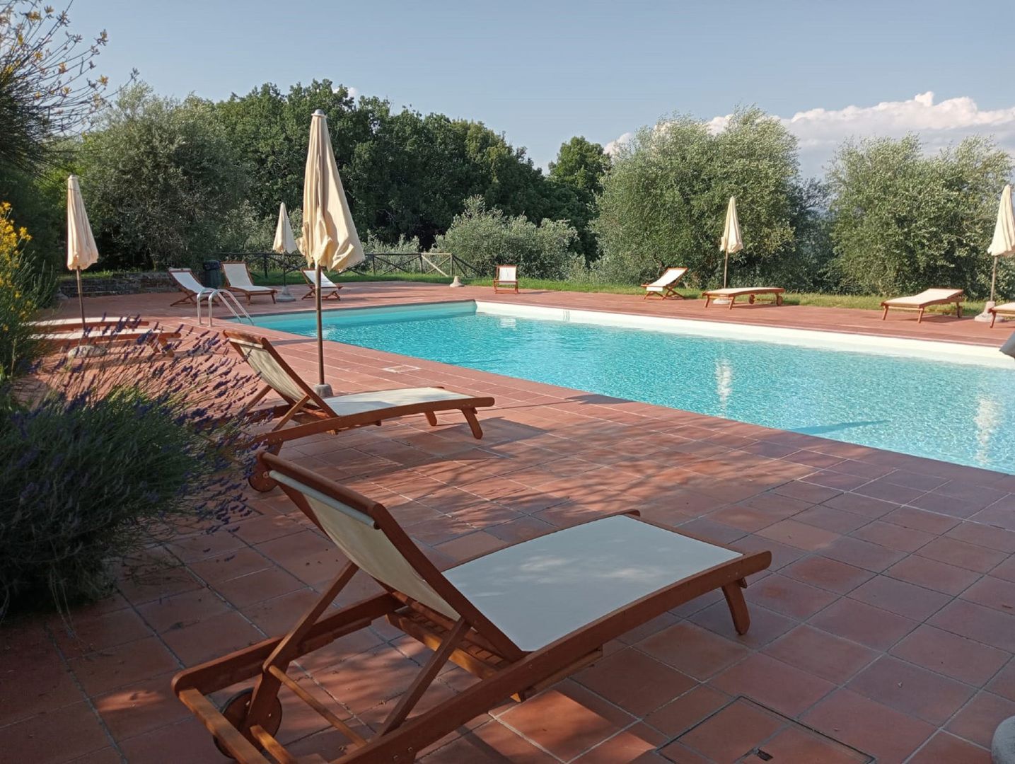 Swimming Pool 4