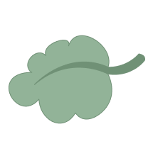 CasaLe Tolfe Residence 15