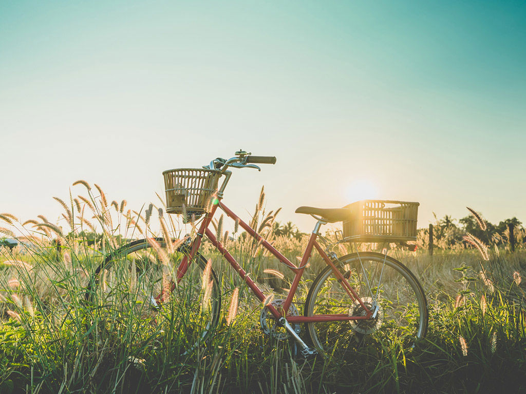 CasaLe Tolfe Residence 21