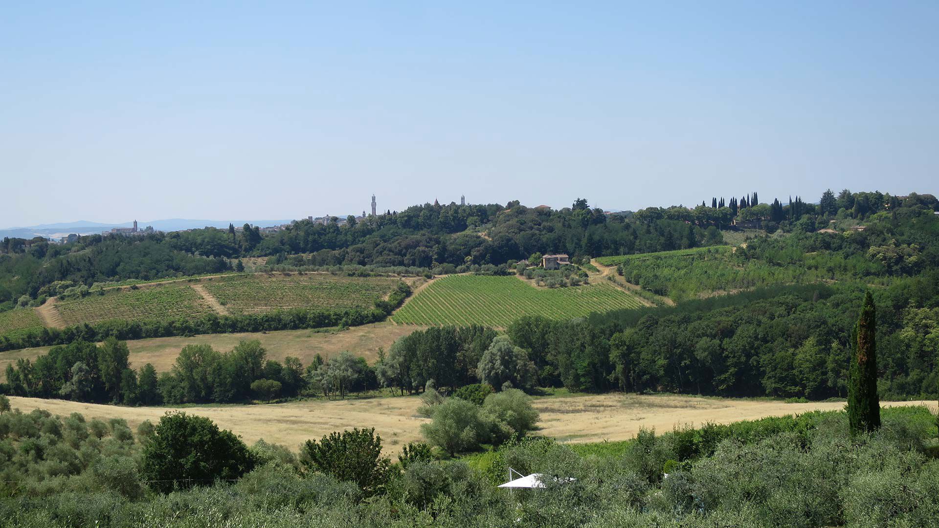 CasaLe Tolfe Residence 4