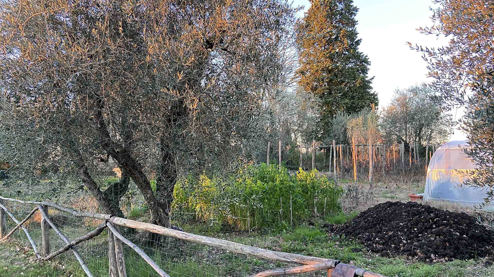 Orto e vivere insieme 1