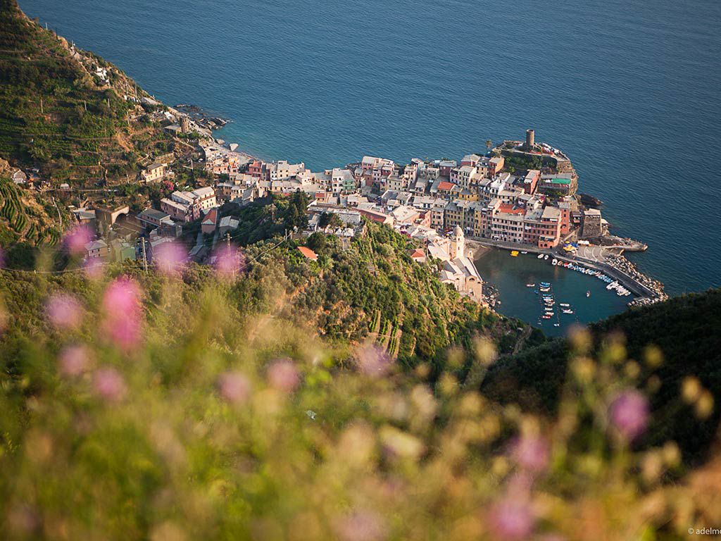 Territorio 4 Territorio 4