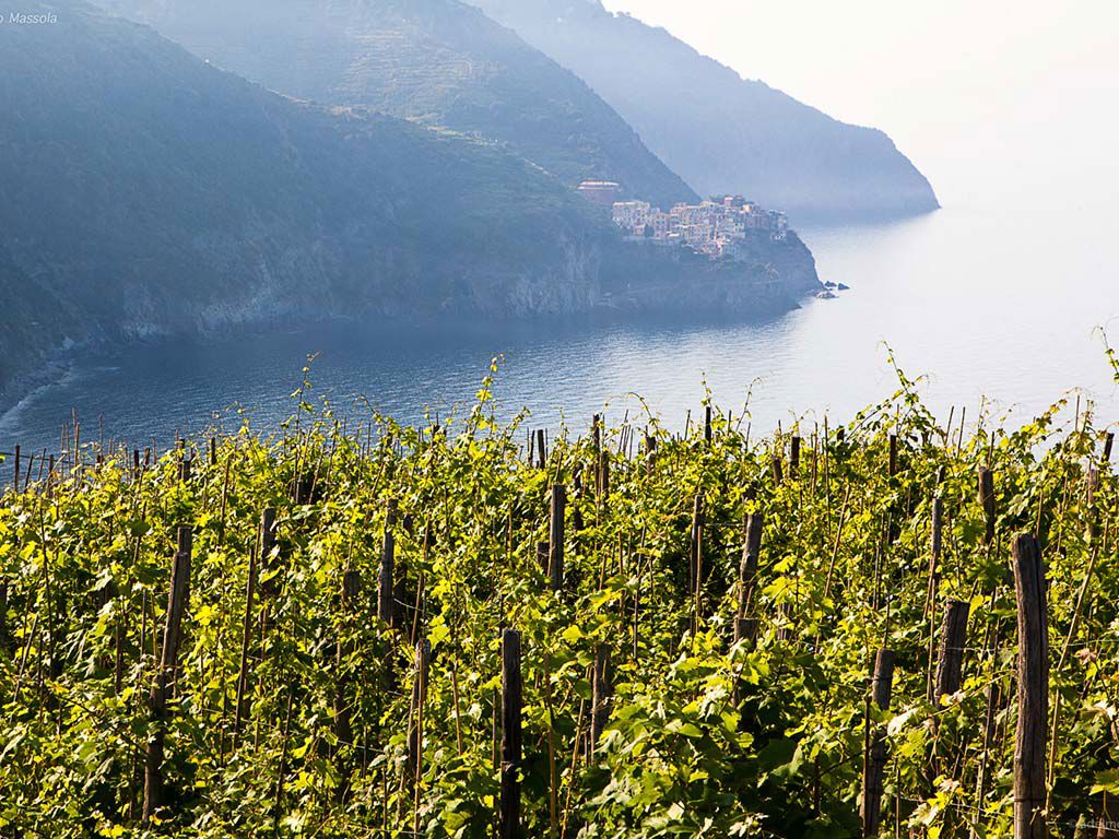 Esperienze 6 Esperienze 6