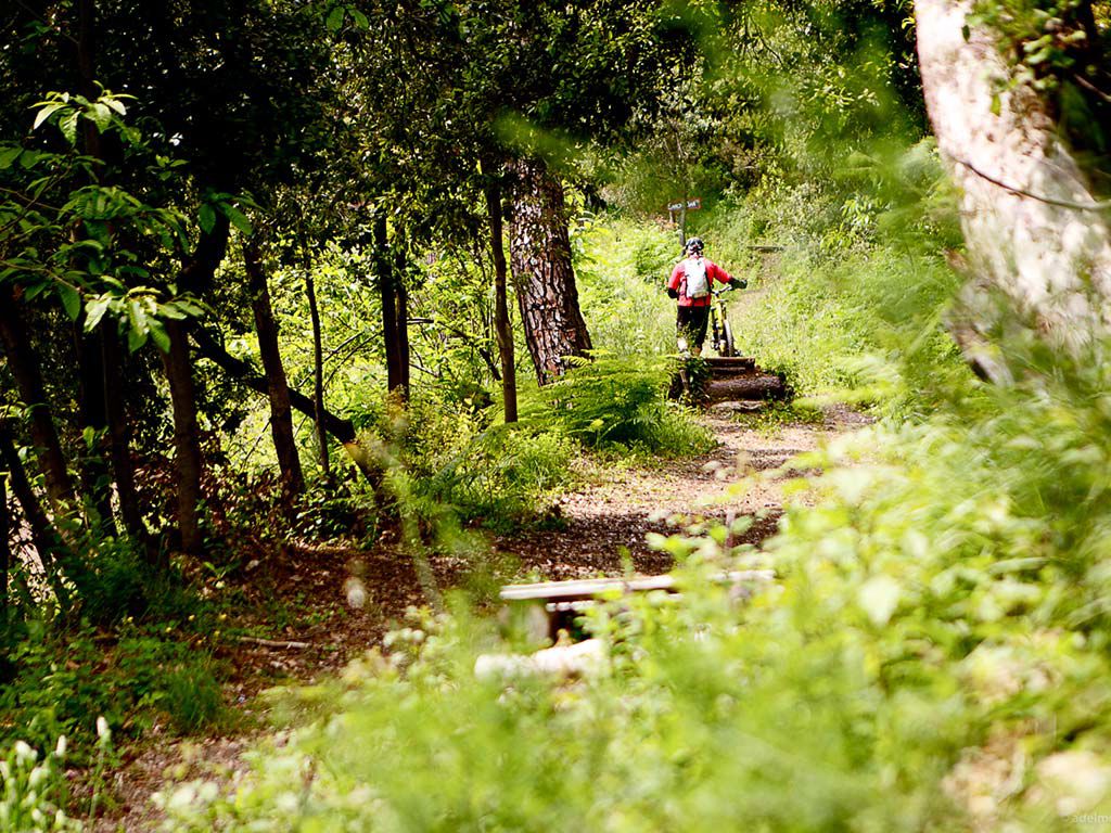 Esperienze 6 Esperienze 6