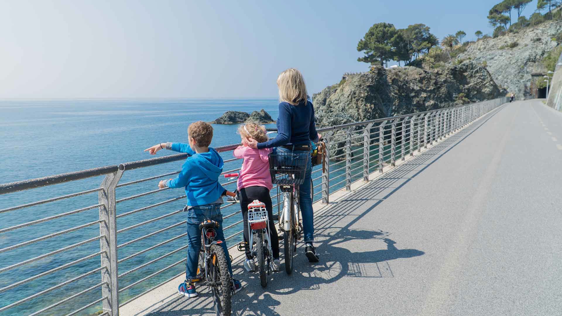 Territorio 4 Territorio 4