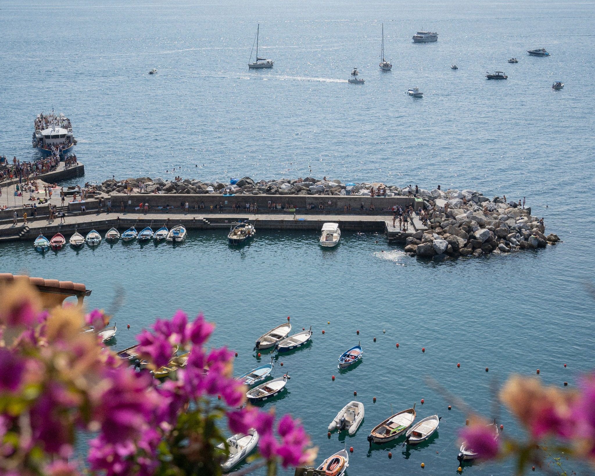 Private Boat Tours or Ferries? The Choice in 2026 1