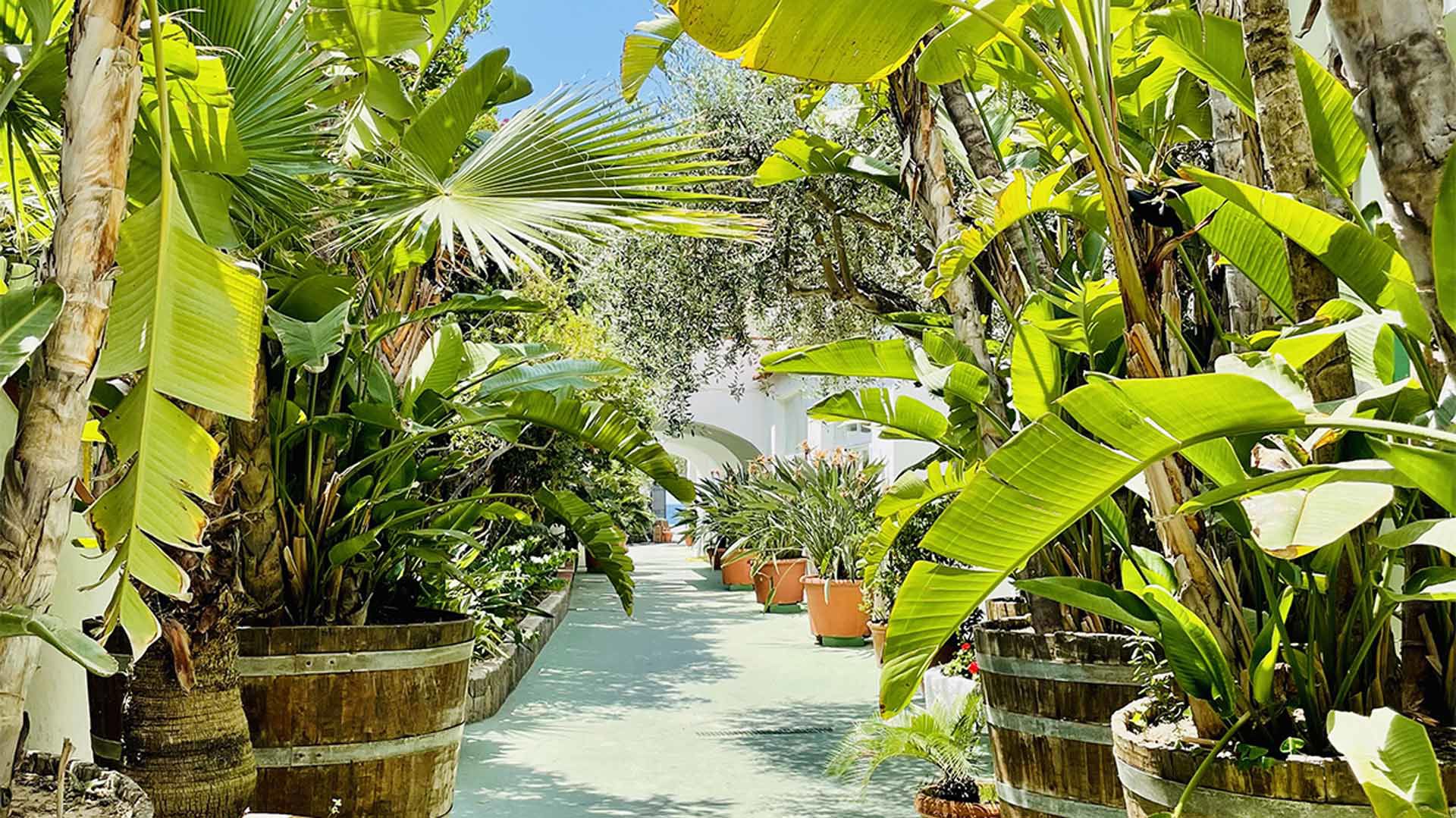 Hotel La Scogliera 2