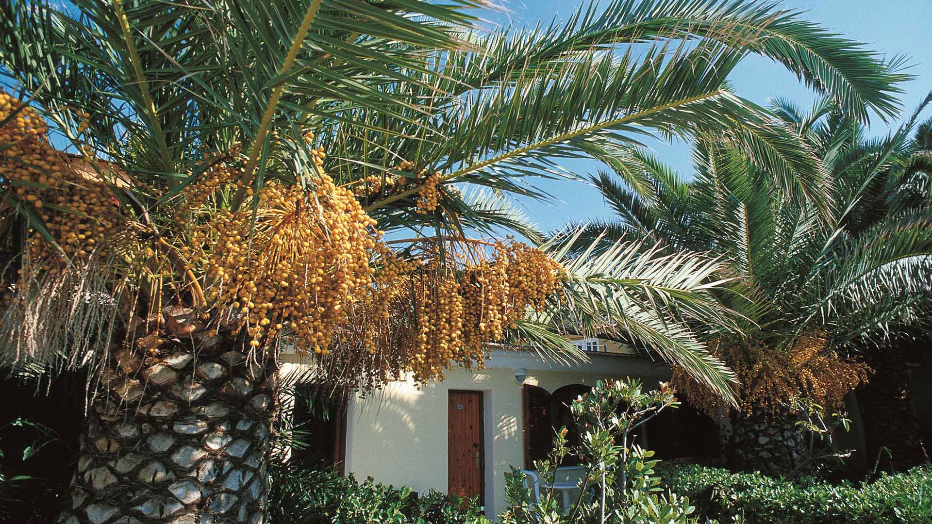 Classic Room Pool View 3