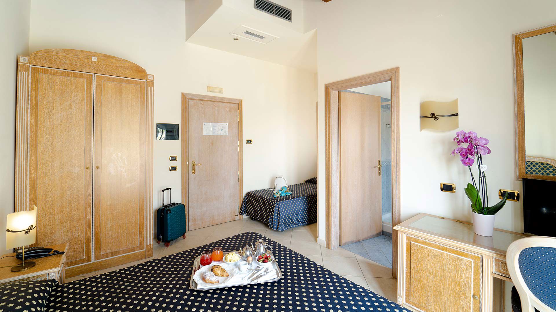 Deluxe with Terrace 3