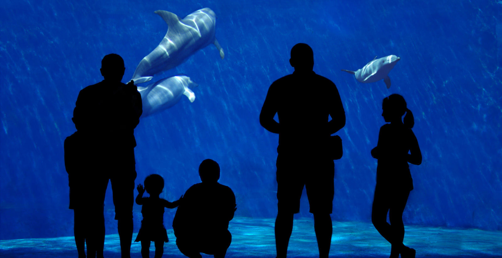 Benvenuti all'Hotel Splendide Riviera 11