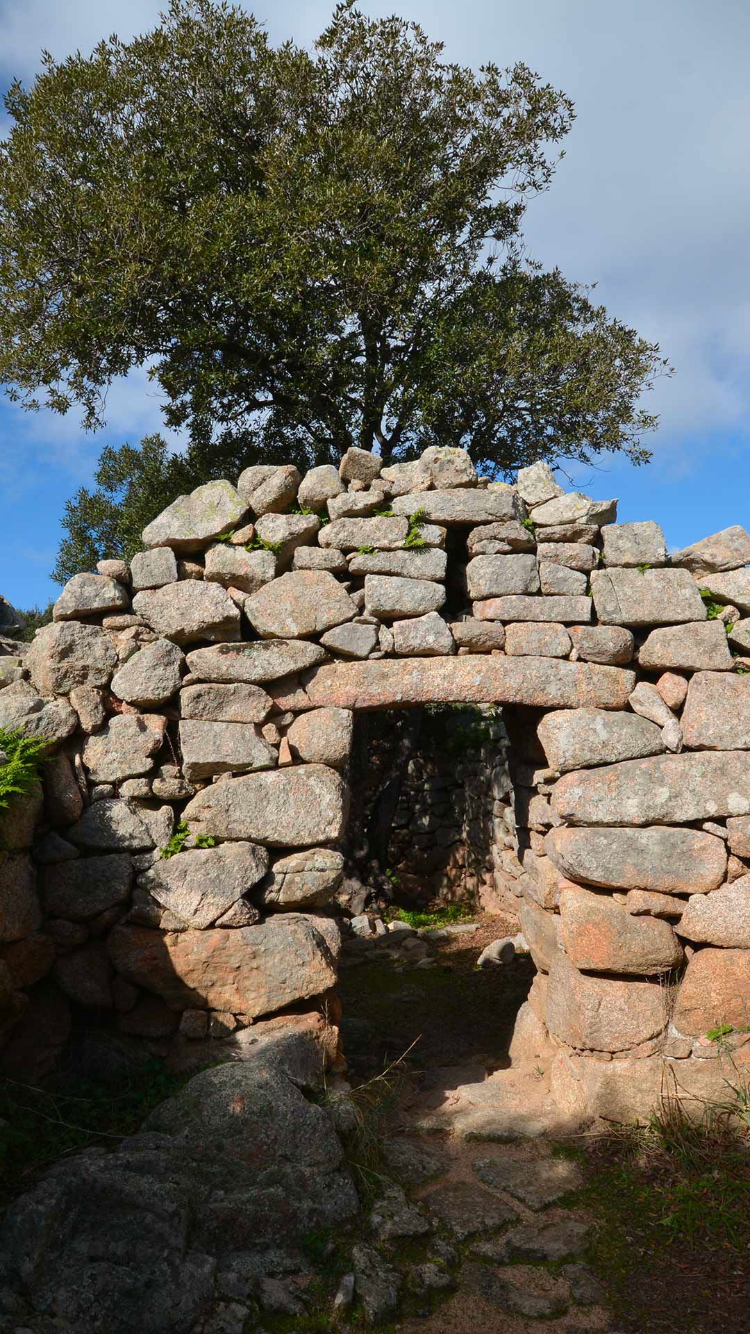 Culture and Traditions 1