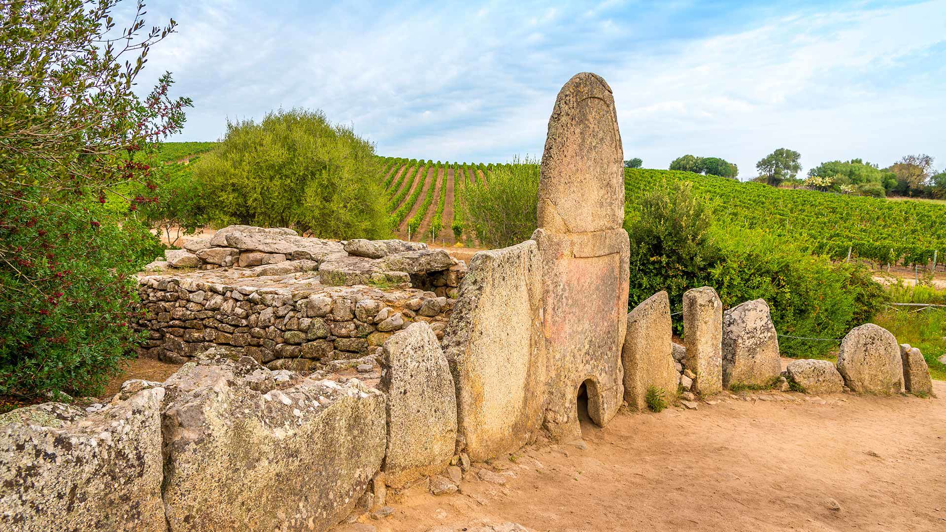 Culture and Traditions 1