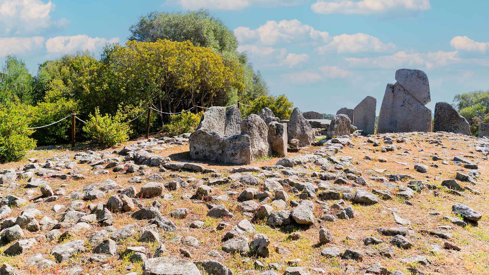 Culture and Traditions 1