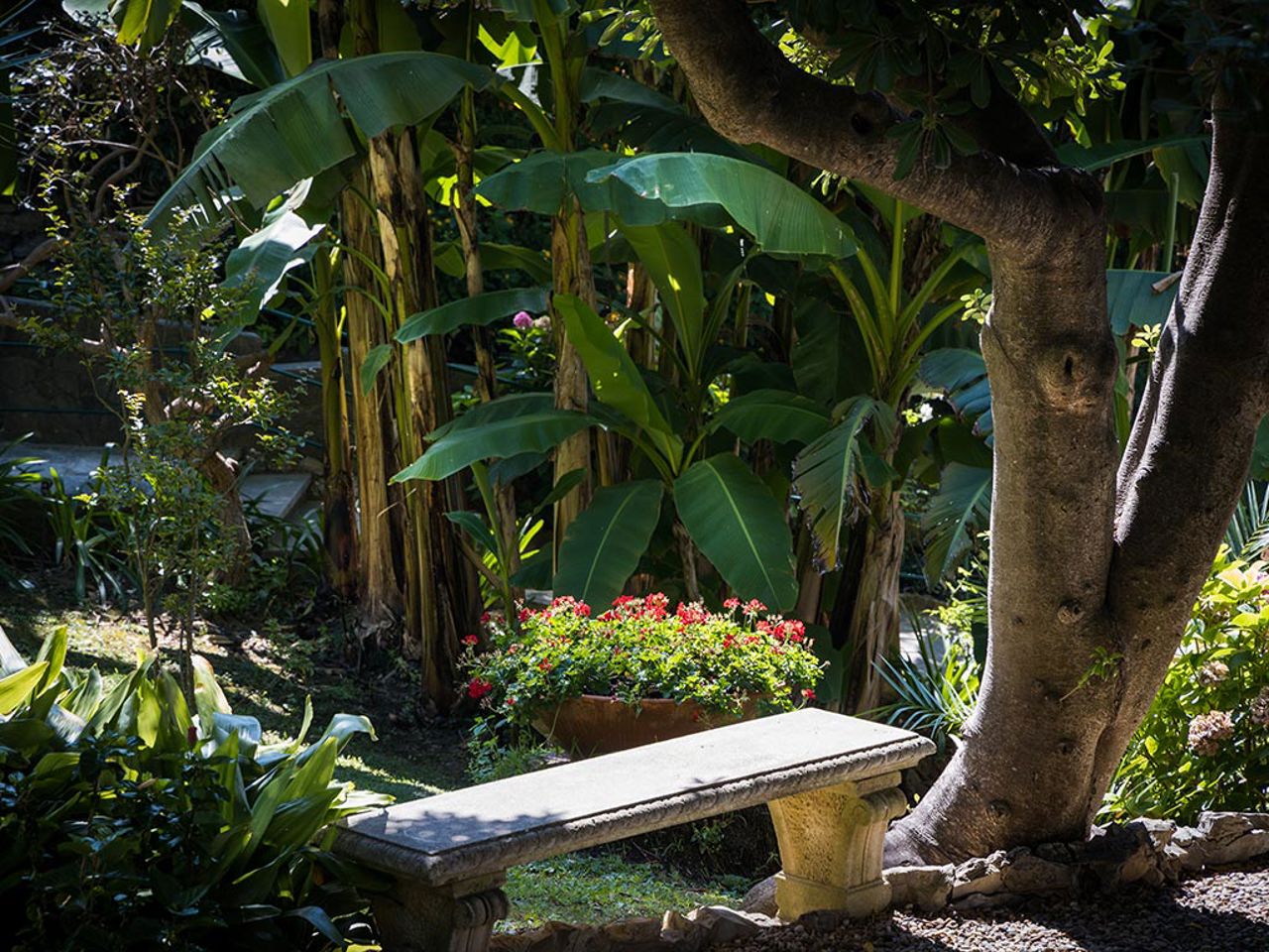 Services and Useful Information 11 Services and Useful Information 11