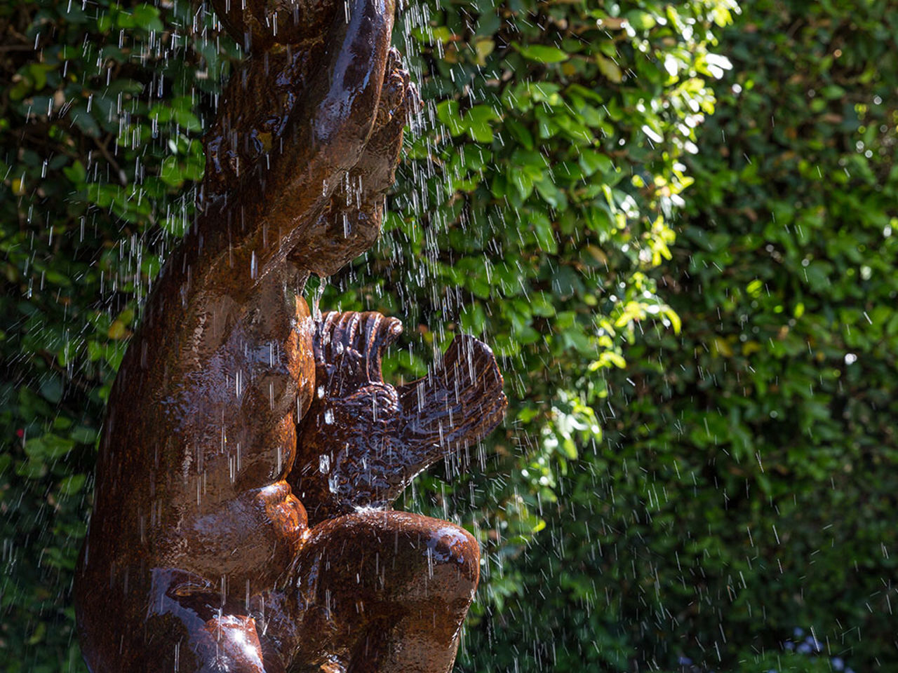 Services and Useful Information 17 Services and Useful Information 17