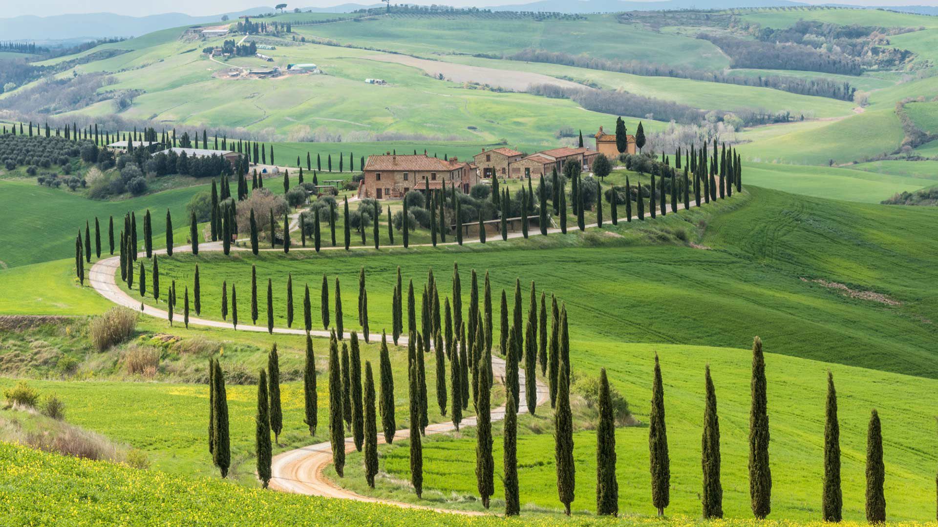 Discover the surroundings 0