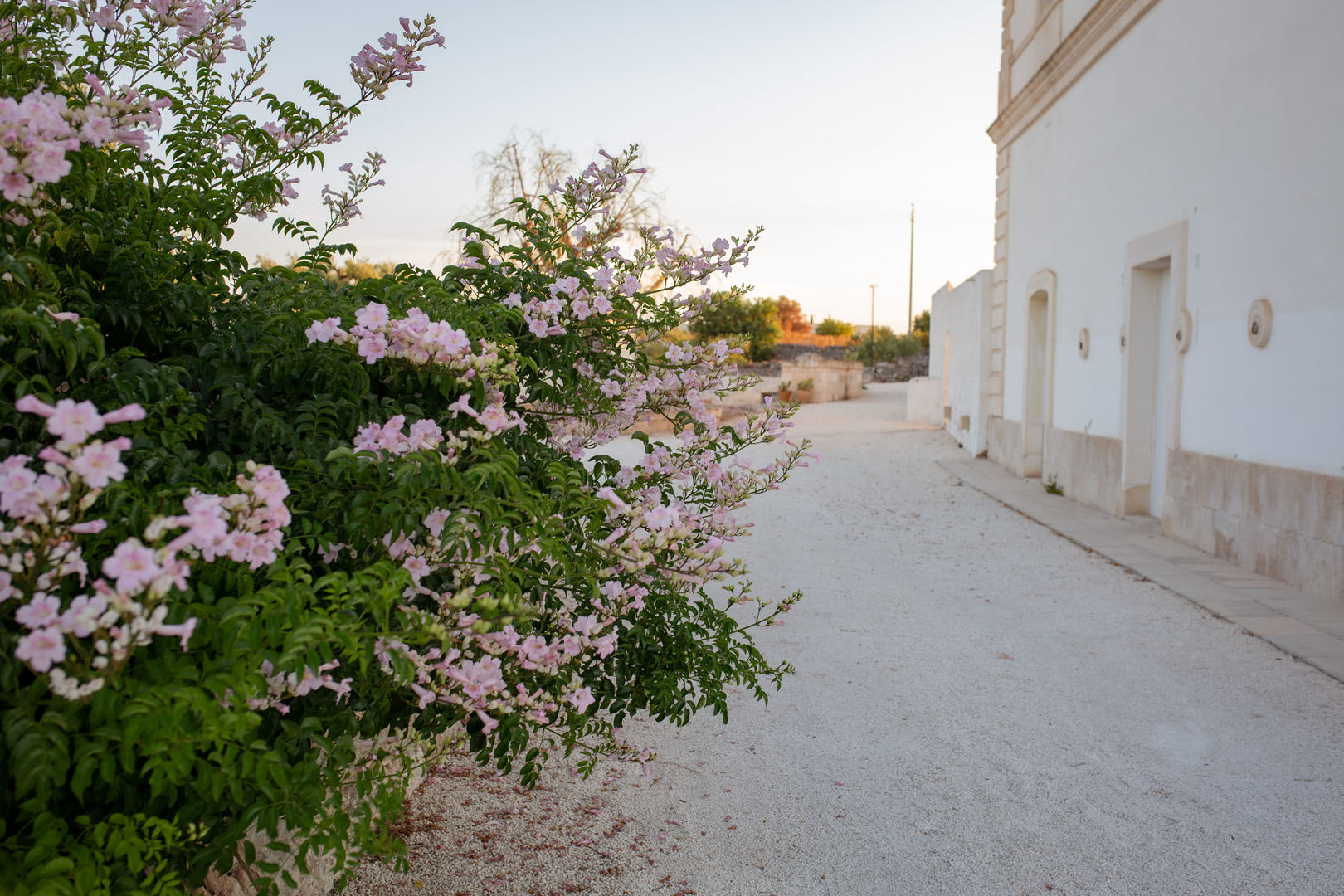 MASSERIA MONET 4