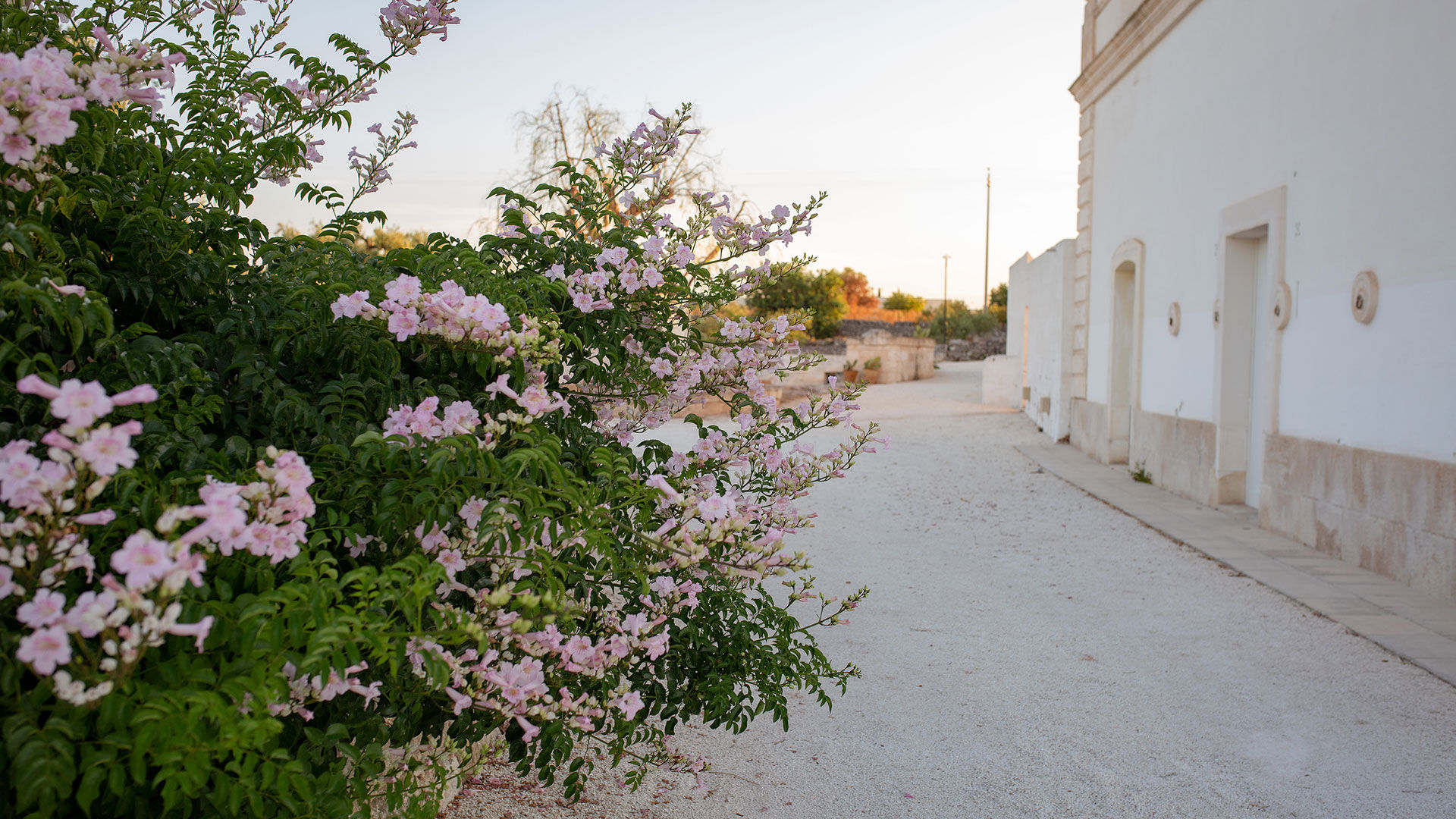 MASSERIA MONET 3