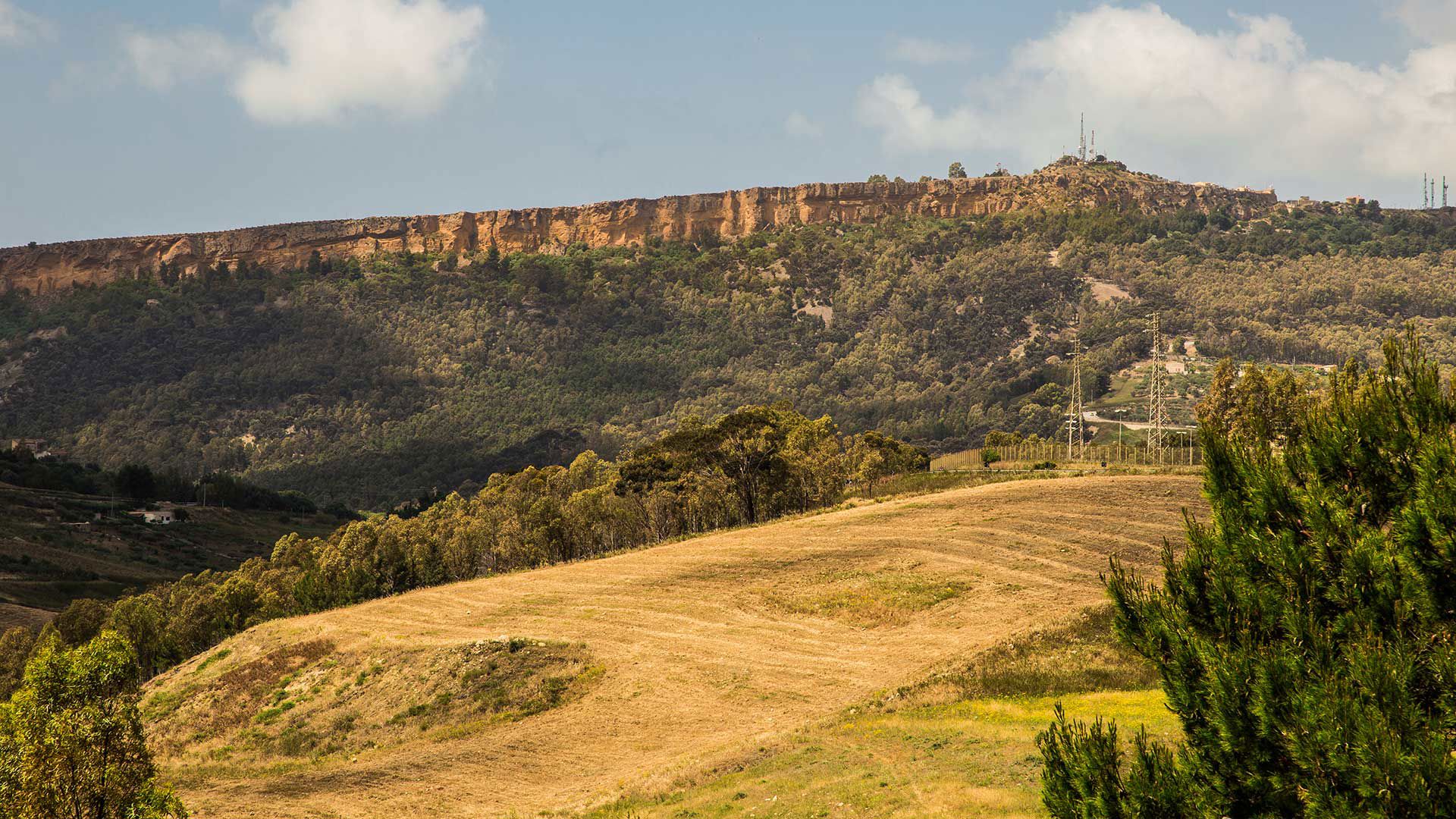 Services 12 Services 12