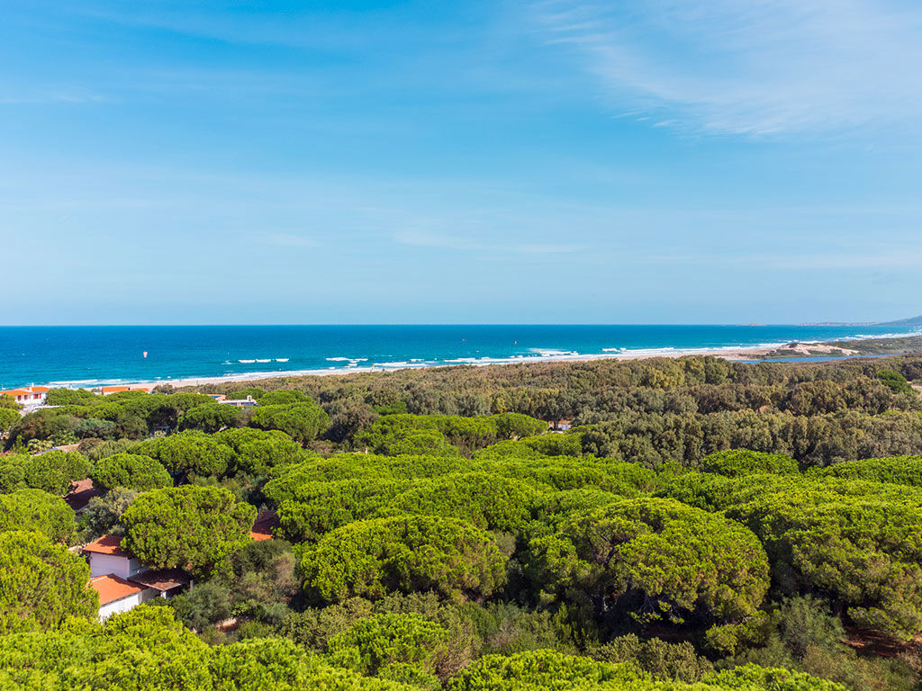 Rebirth Hospitality 6