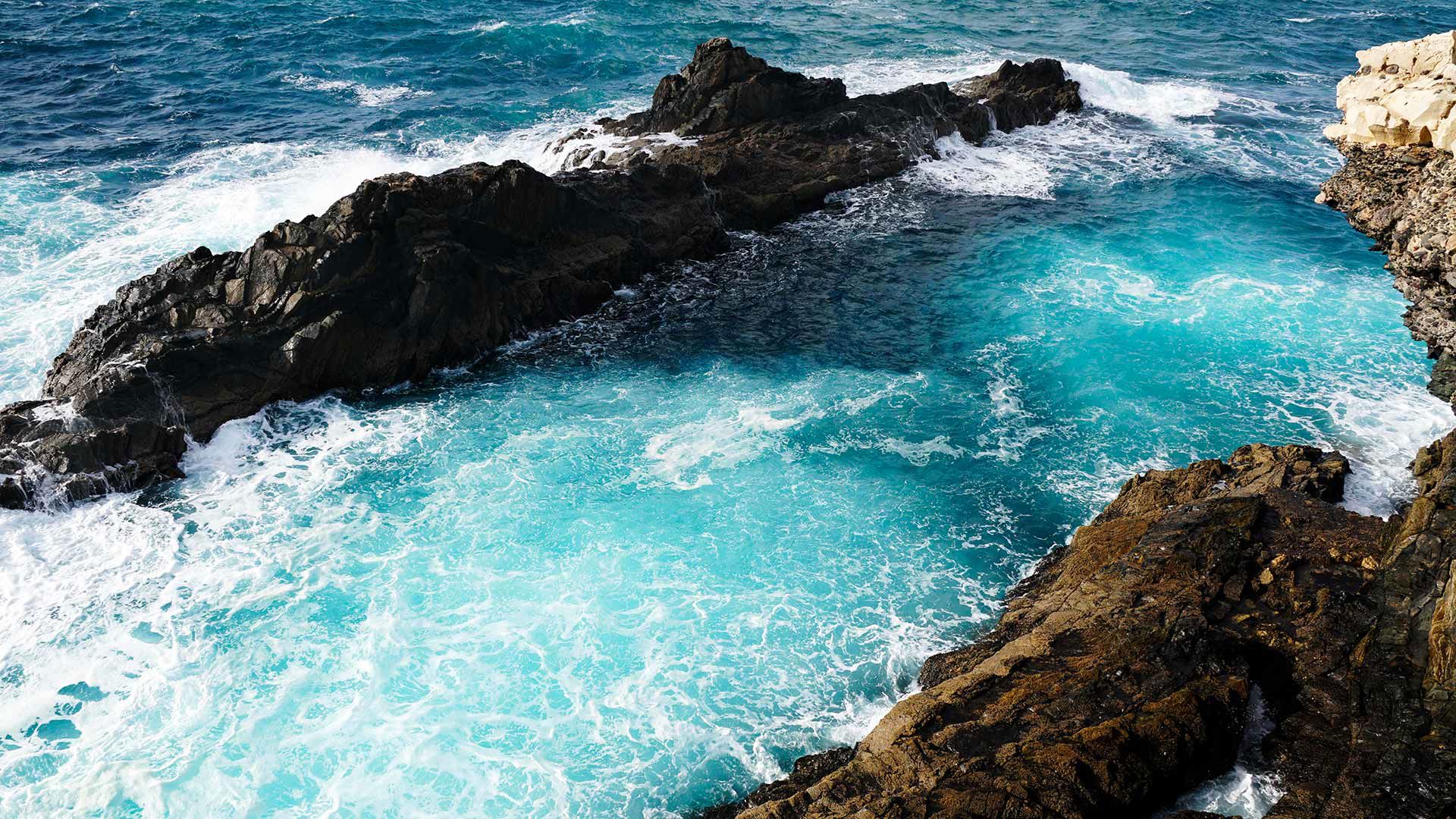 Rebirth Hospitality 6