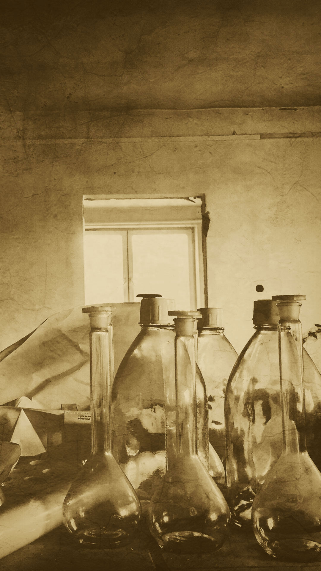 Lucia Magnani 1 Lucia Magnani 1