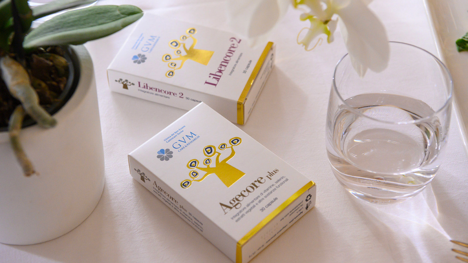 Lucia Magnani 1 Lucia Magnani 1