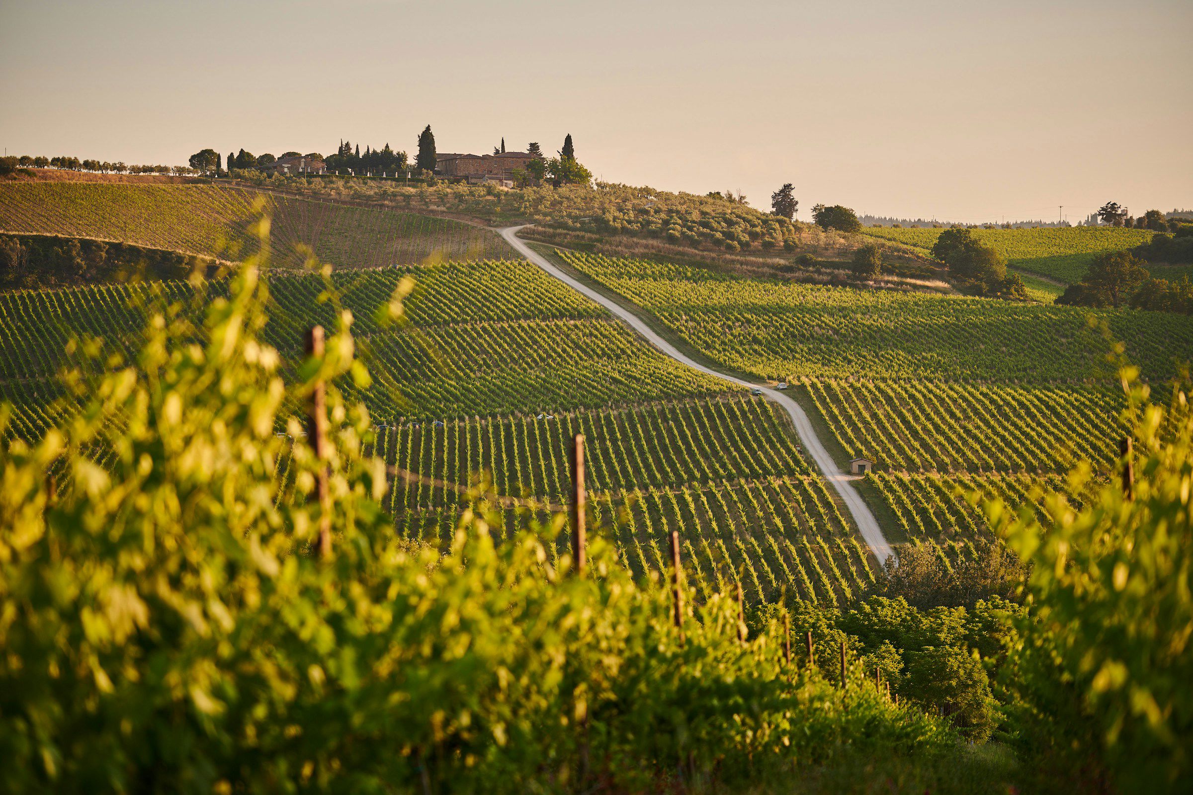 Albornoz Palace Spoleto - Montefalco Wine Tour tra le Cantine Umbre 1