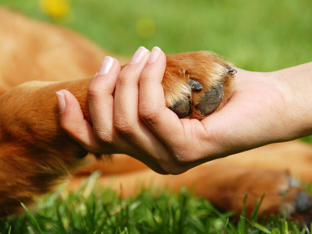 Albornoz Palace Spoleto - Servizi 1
