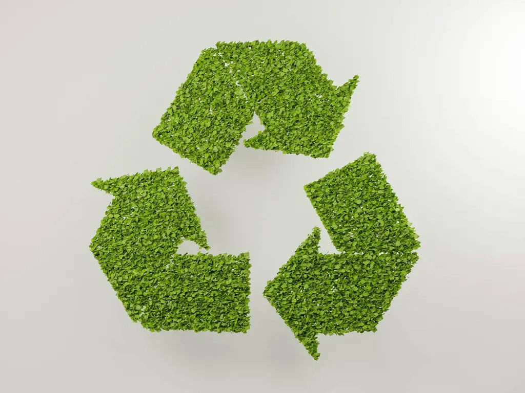 ECO-SUSTAINABILITY 1