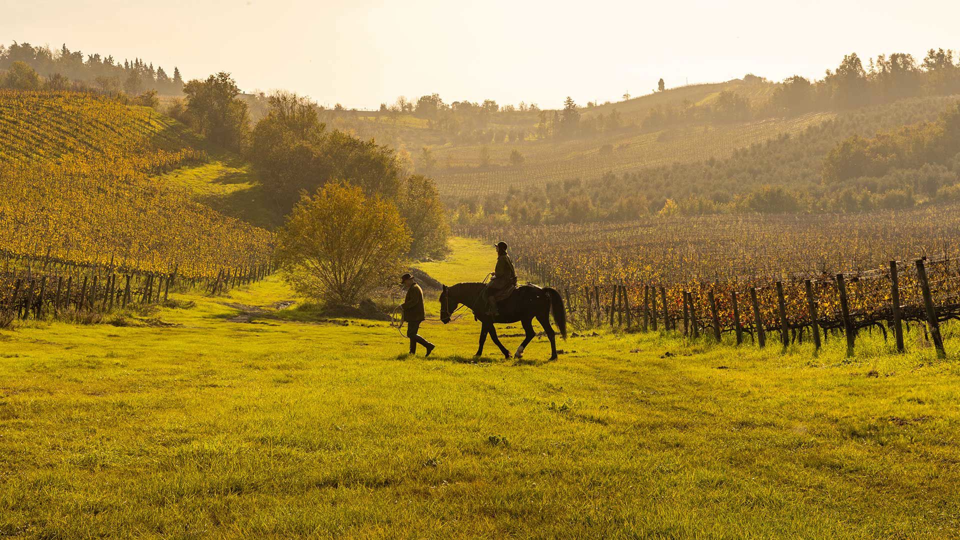 Borgo Condé Wine Resort 1 Borgo Condé Wine Resort 1