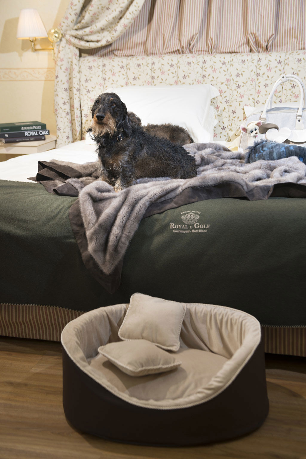 Pet Friendly 58