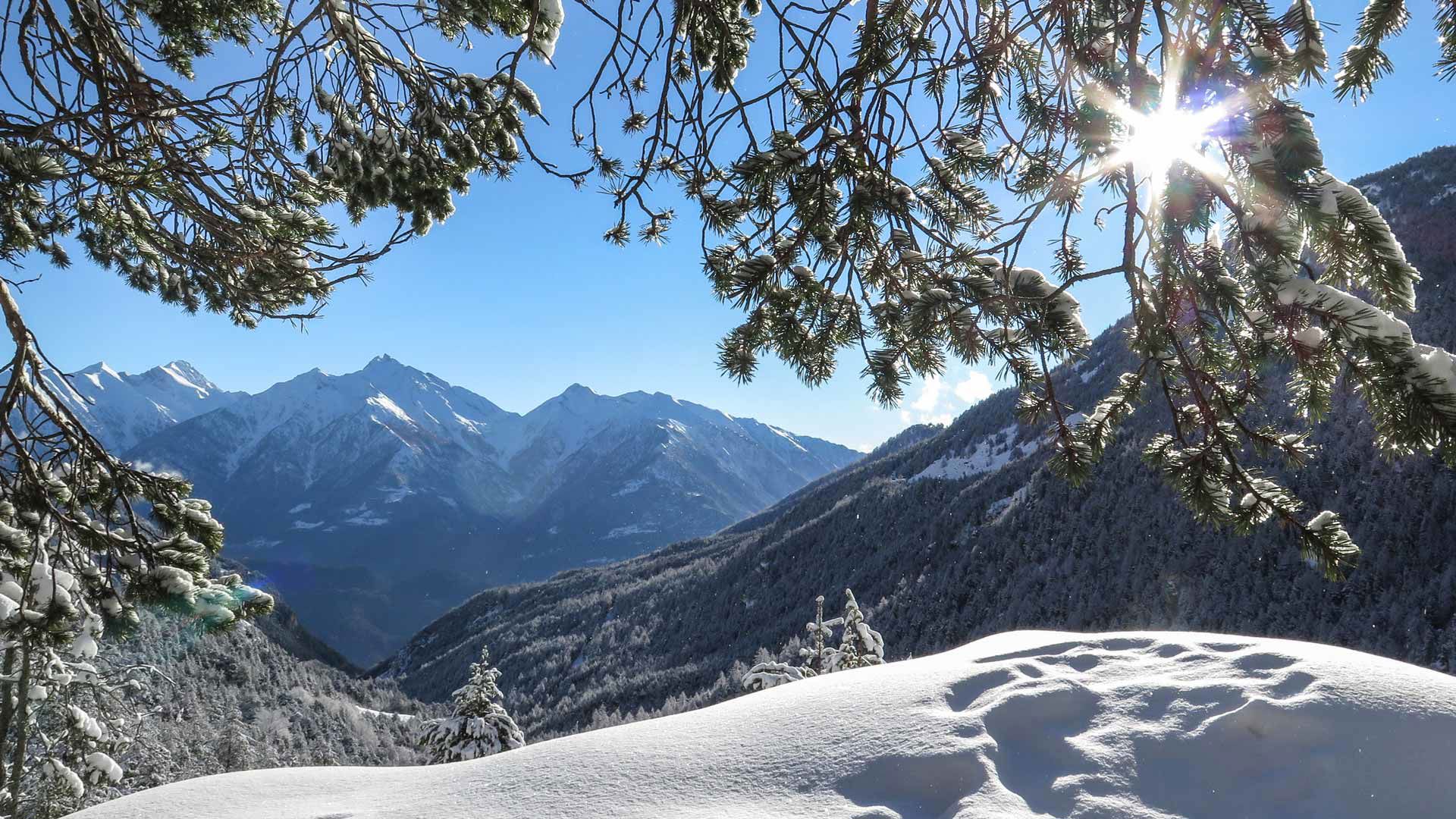 Mont Blanc Ski in Courmayeur with Grand Hotel Royal & Golf 10