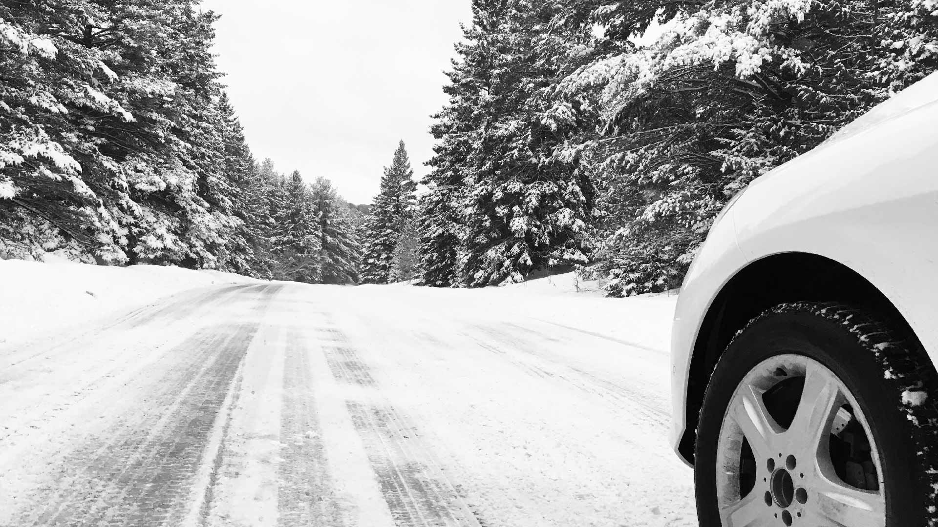 Royal Driving Experience 59