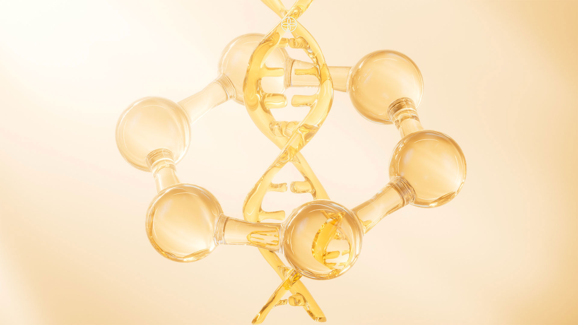 Grand Hotel Castrocaro Long Life Formula 1