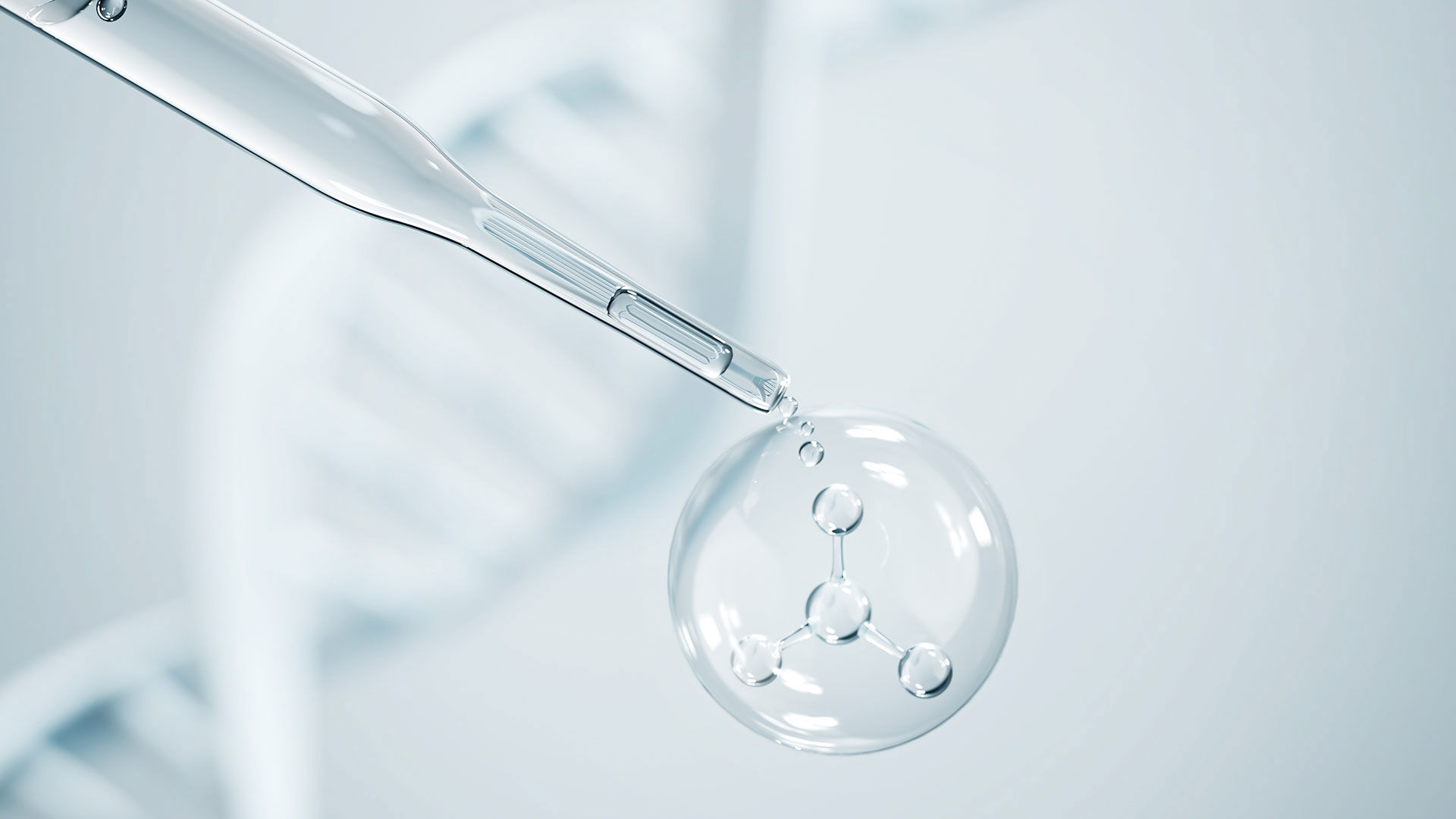 Gut microbiota test 2