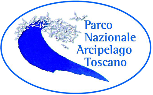 Loghi-prova/arcipelago-logo.png